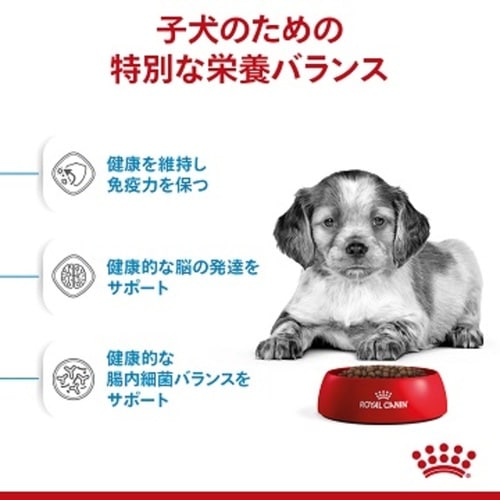  CANIN 中型犬の成犬用 4kg×2個 nt110040.jpg