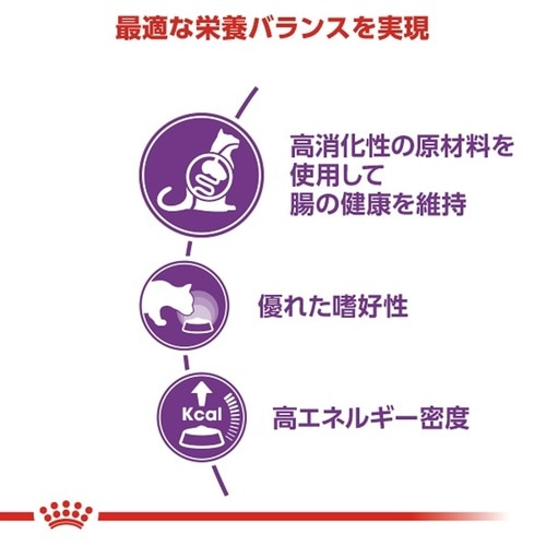 ロイヤルカナン センシブル 食が細くやせ気味の 成猫用 15kg
