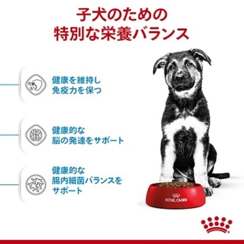  CANIN 大型犬の子犬用 15kg ロイヤルカナン マキシ パピー 大型犬 子犬用 ドッグフード 15kg