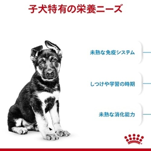  CANIN 大型犬用 ドッグフード 15kg ロイヤルカナン 犬 マキシ アダルト 大型犬 成犬 生後15カ月齢
