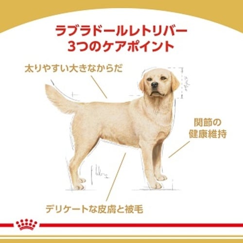 ロイヤルカナン ラブラドールレトリバー 成犬～高齢犬用 ドッグフード