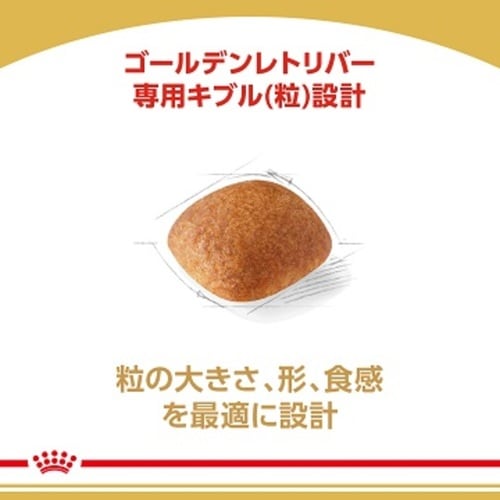 ロイヤルカナン ゴールデンレトリバー 成犬～高齢犬用 ドッグフード