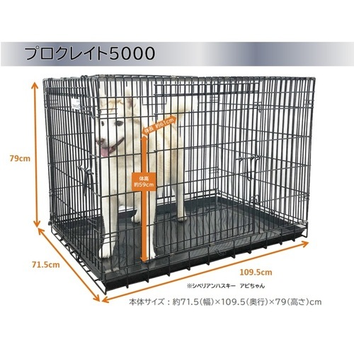 トムキャット プロクレイト 6000（旧最強ｸﾚｲﾄ6000） | 犬用品,ケージ