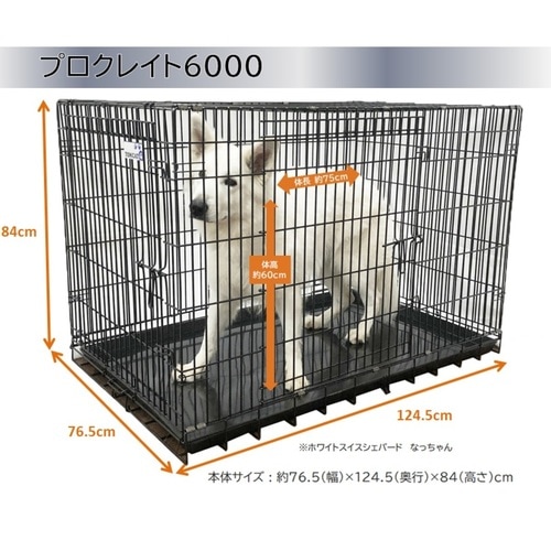 トムキャット プロクレイト 6000（旧最強ｸﾚｲﾄ6000） | 犬用品,ケージ