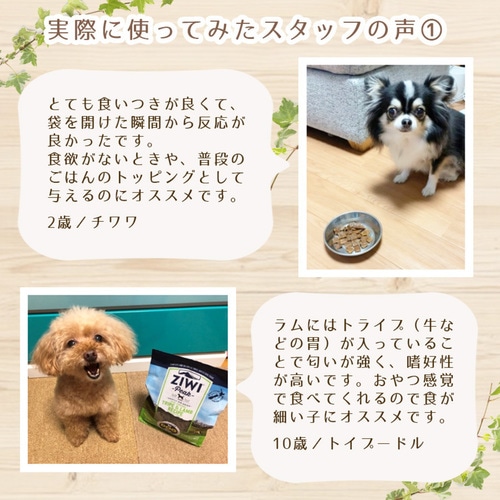 ジウィピーク ZIWI Peak 犬缶 ベニソン レシピ ドッグフード ウェット