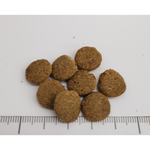 ナチュラルバランス スイートポテト&バイソン レシピ 成犬用