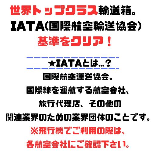 ペットメイト バリケンネル 300 MLサイズ 30-50lbs (13.5-22.7kg
