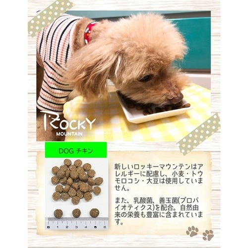 2_000000004511.jpg?1765984181