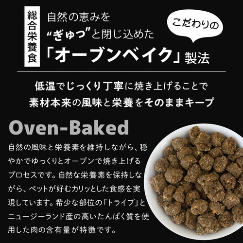 ファンタジーワールド ニュートライプ クランチ オーブンベイクド ラム