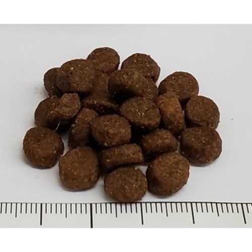 カ*ー様 テイストオブザワイルド ハイプレーリー パピー 仔犬用ドッグフード 1 楽天市場】テイストオブザワイルド ハイプレーリー パピー 仔犬用