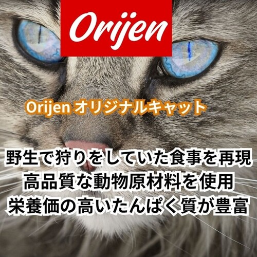 並行輸入品】 オリジン Orijen オリジナルキャット 全猫種 全年齢用