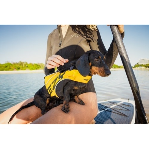 イージードッグ EZ DFDブースト 犬用 4XS イエロー | 犬用品,季節の