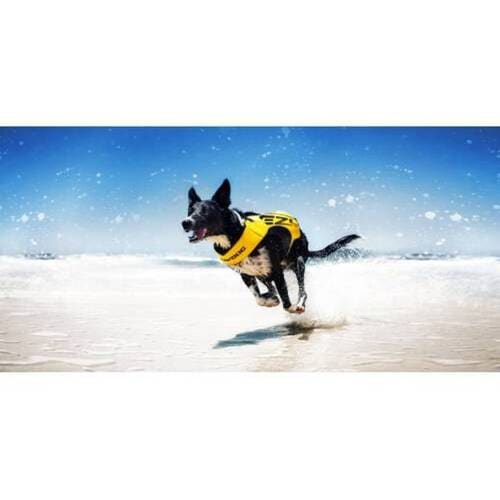 イージードッグ EZ DFDブースト 犬用 L イエロー | 犬用品,季節の商品