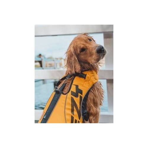 イージードッグ EZ DFDブースト 犬用 L イエロー | 犬用品,季節の商品