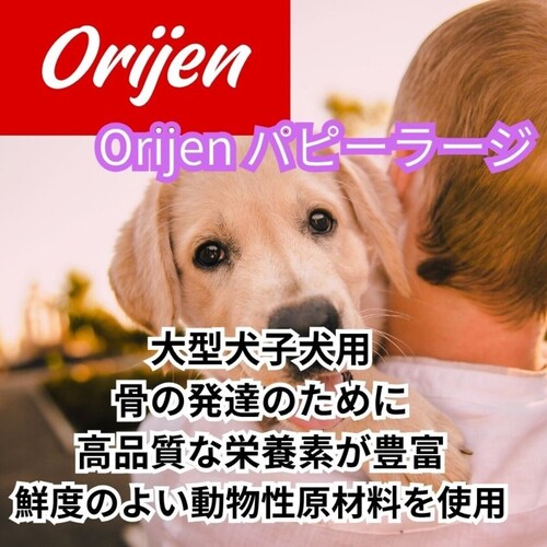 並行輸入品】 オリジン Orijen パピーラージ 大型犬 子犬用