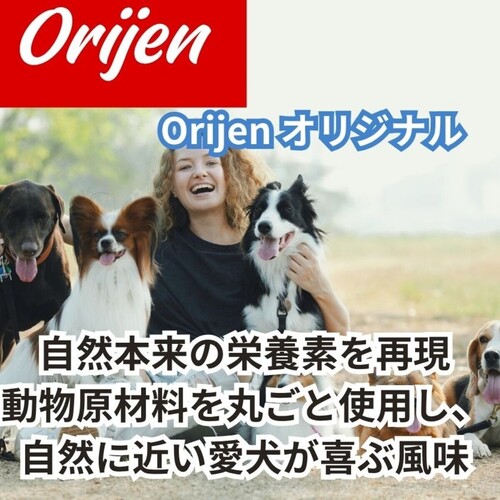 並行輸入品】 オリジン Orijen オリジナル 全犬種 全年齢用