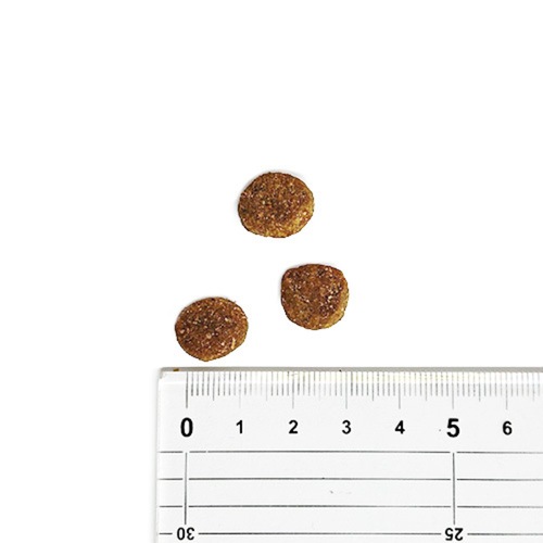 並行輸入品】 オリジン Orijen オリジナル 全犬種 全年齢用