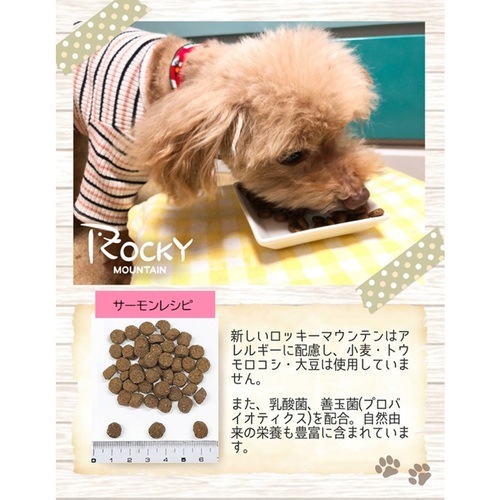 メール便・配送日時指定不可】 トムキャット ロッキーマウンテン