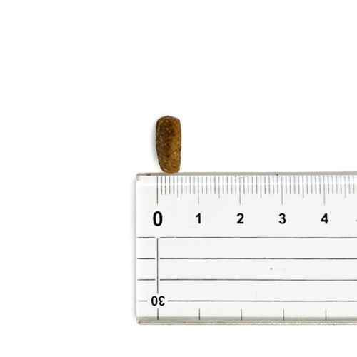 訳あり】 【並行輸入品】 オリジン Orijen オリジナル 全犬種 全年齢用