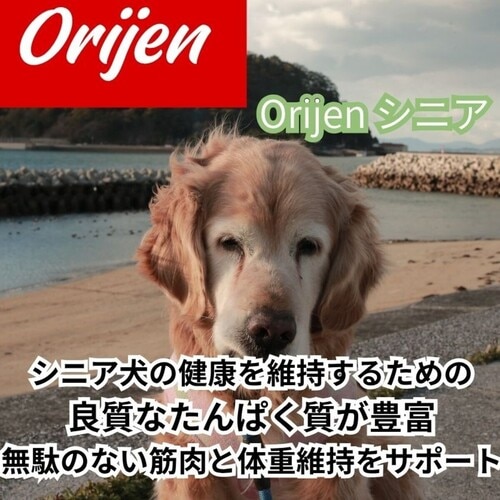 並行輸入品】 オリジン Orijen シニア 全犬種 シニア犬用 ドッグフード