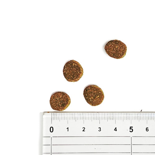 並行輸入品】 オリジン Orijen シニア 全犬種 シニア犬用 ドッグフード