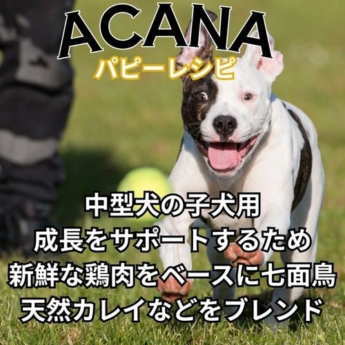 【未開封】アカナ　パピーレシピ11.4kg ACANA PUPPY アカナ パピーレシピ 11.4kg