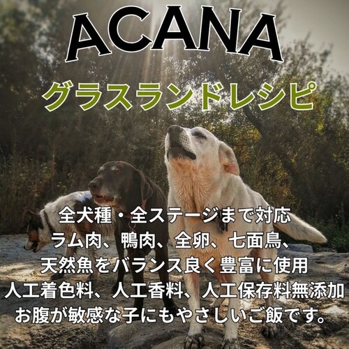並行輸入品】 アカナ グラスランド レシピ 全犬種 全年齢用