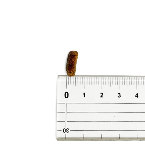 並行輸入品】 アカナ グラスランド レシピ 全犬種 全年齢用