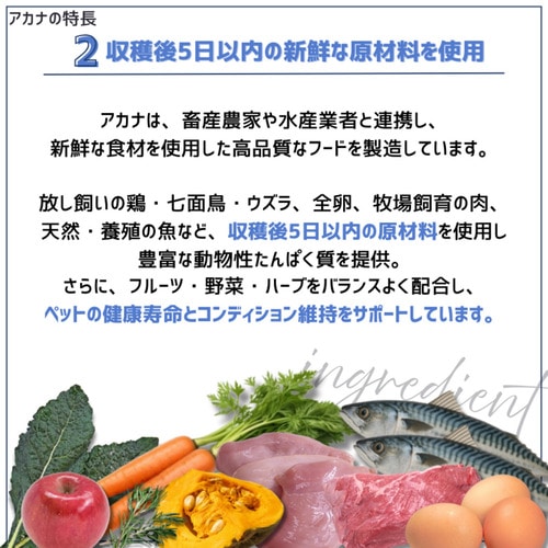 並行輸入品】 アカナ グラスランド レシピ 全犬種 全年齢用