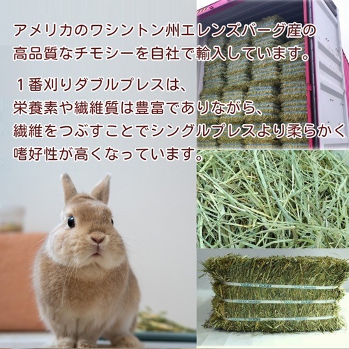 ワードルー スーパープレミアム ホースグレード チモシー 1番刈り