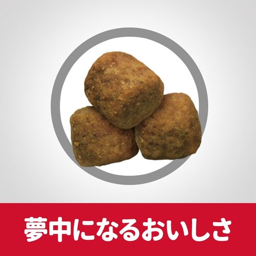 サイエンスダイエット(国内) Hills アダルト 1から5歳 大型犬 成犬用