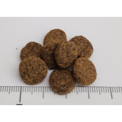 テイストオブザワイルド パシフィックストリーム 成犬用 ドッグフード