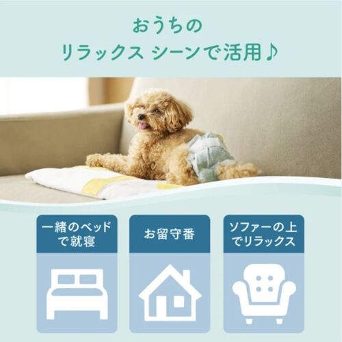 大王製紙 キミおもいリラックスウェア L 犬用 おむつ 32枚 ×4袋入 | 犬