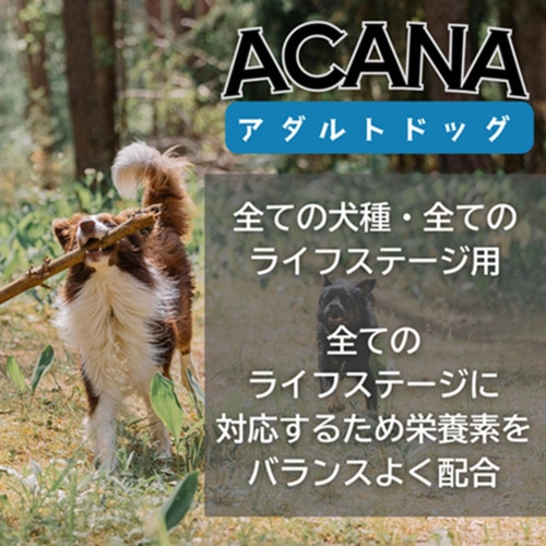 並行輸入品】 アカナ アダルト ドッグ レシピ 全犬種 全年齢用