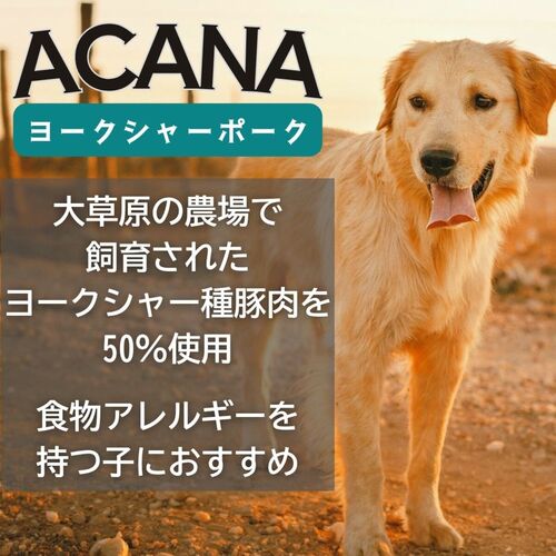 並行輸入品】 アカナ ヨークシャーポーク レシピ 全犬種 全年齢用