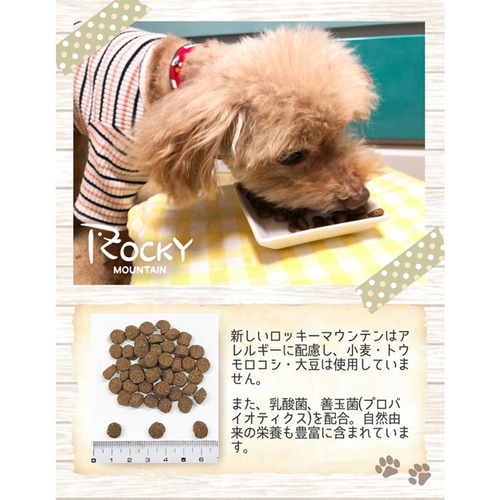 トムキャット ロッキーマウンテン サーモンレシピ ドッグフード 3kg×1