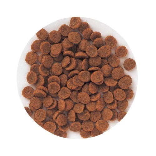 森乳サンワールド スーパーゴールド フィッシュ&ポテト 子犬用、成犬用