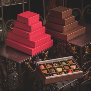 【あさ】BRUNT CHECKMATE M収納ケースのみ　チョコチップ あさ】BRUNT CHECKMATE M収納ケースのみ チョコチップ あさ様