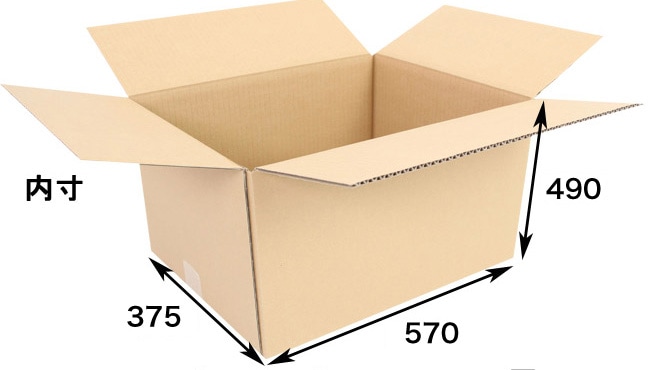 ѥѡʰѡ˥ܡ ߣߣ ʣåȣ