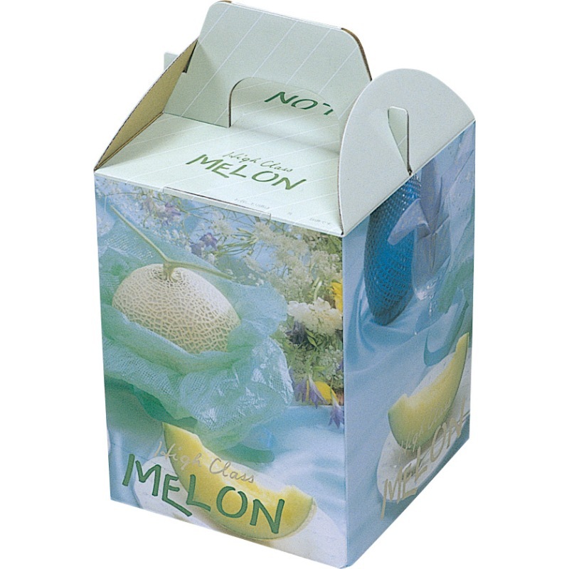 果物用ギフト箱 サガメロン1個用（1セット100枚入） | 果物用ギフト箱