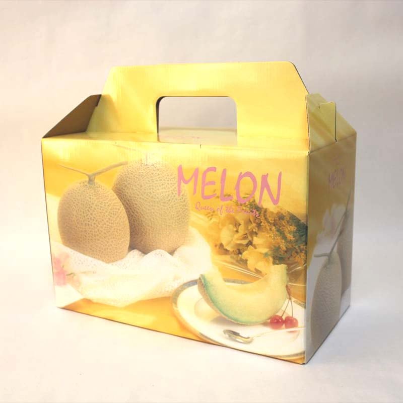 果物用ギフト箱 コスモスメロン2個用（1セット80枚入） | 果物用ギフト