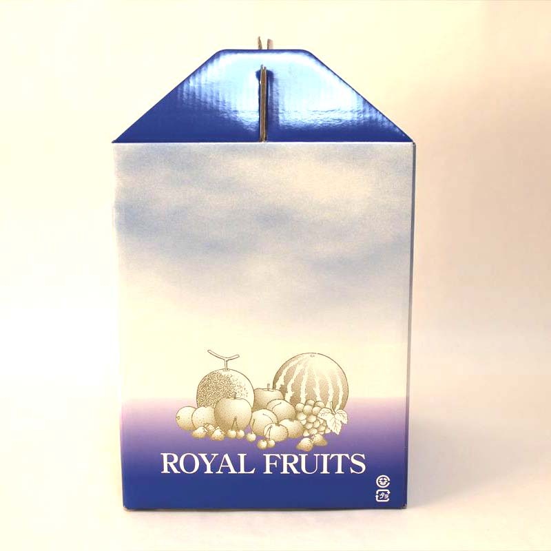 ��ʪ�ѥ��ե�Ȣ �������ե롼��1���ѡ�1���å�100������