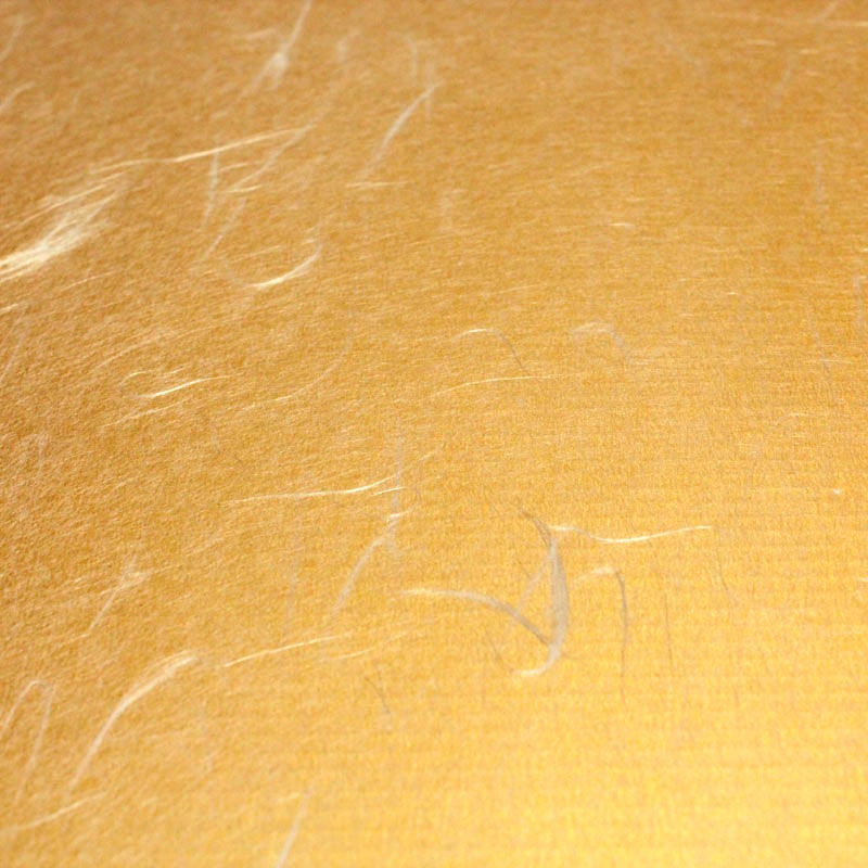 ��󥿥å���ʪȢ ����ۡ�������ɡʣ����åȣ�������