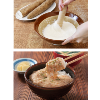 【信州産 とろろ】味とサイズが選べる　長いもとろろ