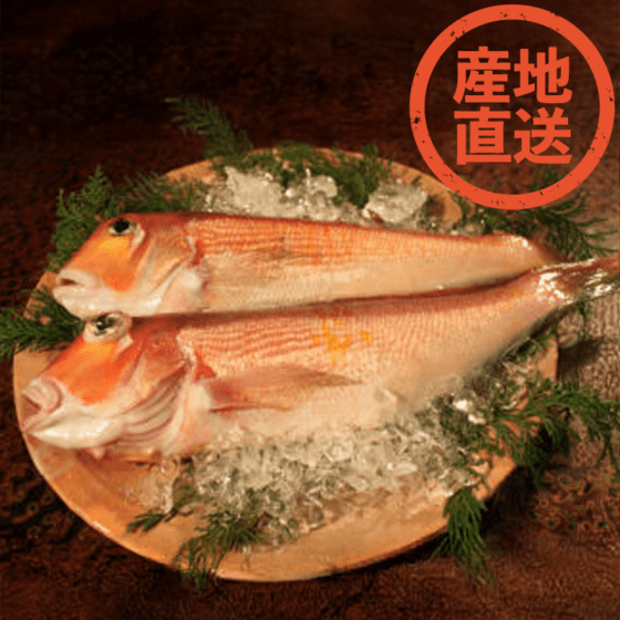 【メーカー・産地直送】萩あまだいの味噌漬け　1本