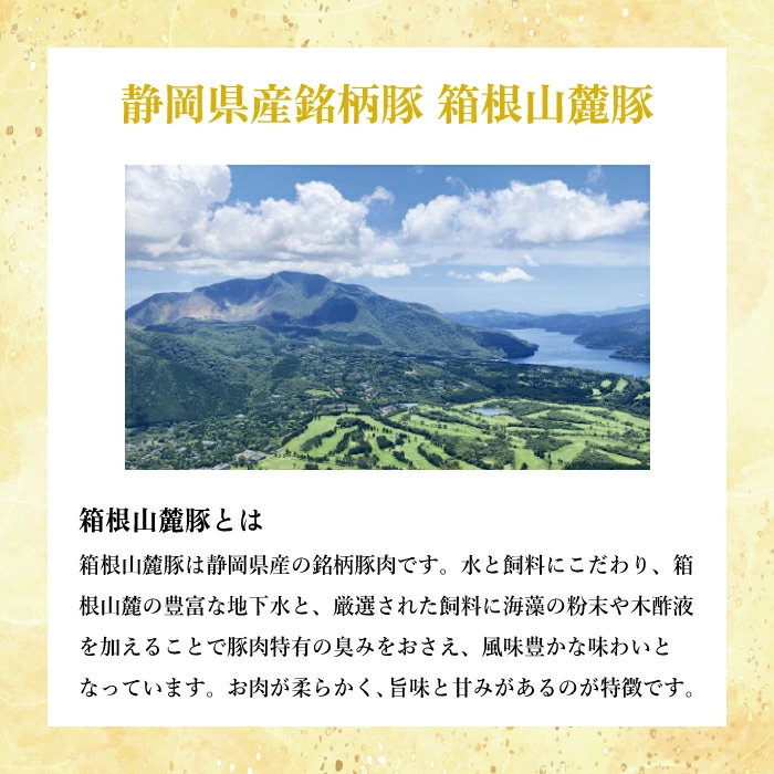 【東華軒】箱根山麓豚弁当　カルビ＆ロース