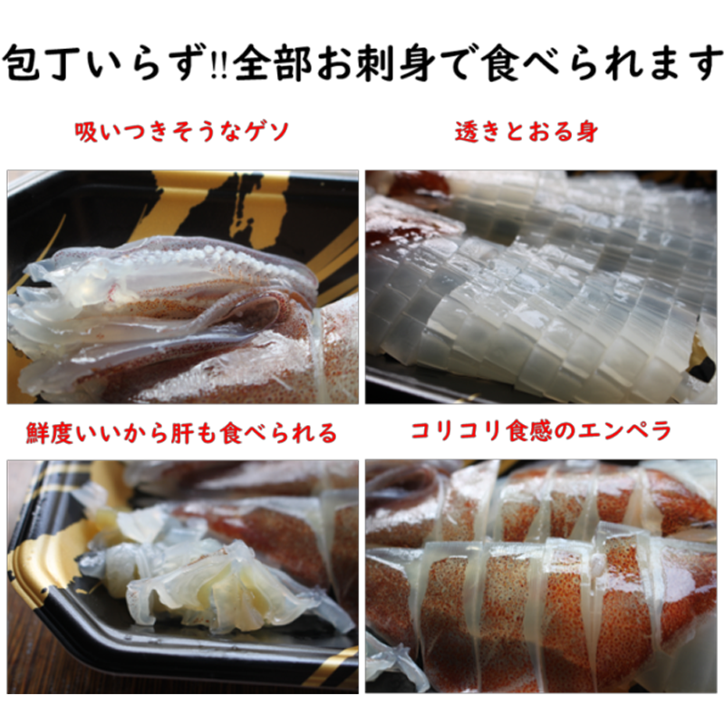 【メーカー・産地直送】超・瞬間冷凍　活きイカ姿つくり　150ｇ