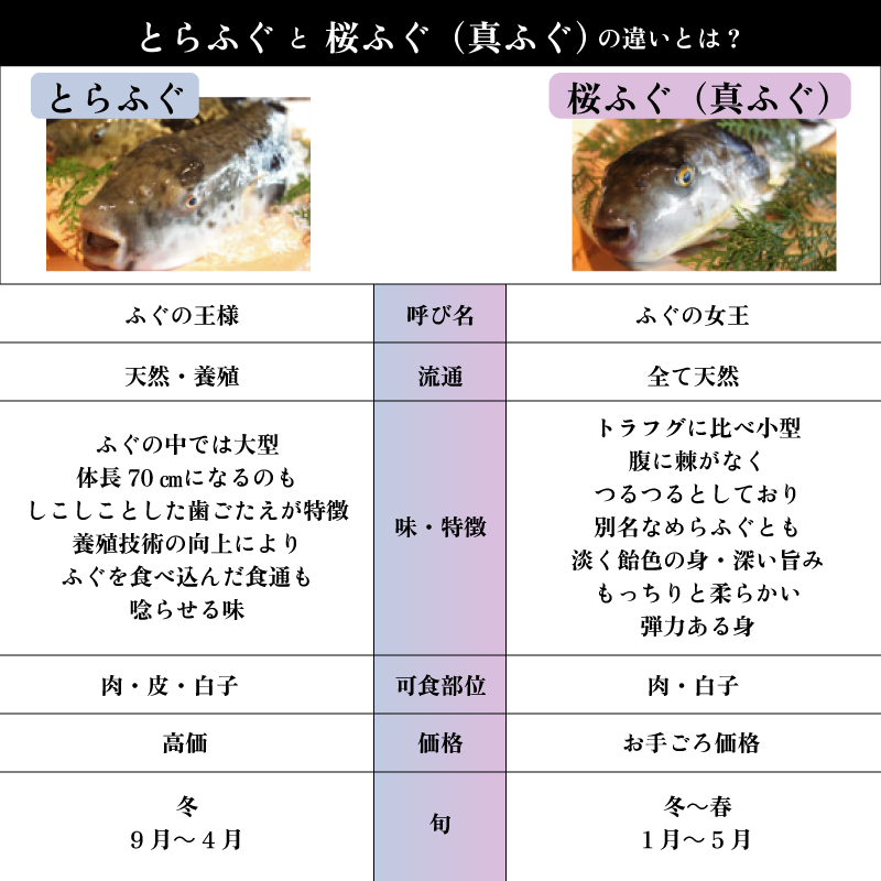 【メーカー・産地直送】ふぐの食べ比べセット（とらふぐ刺身・桜ふぐ炙り）