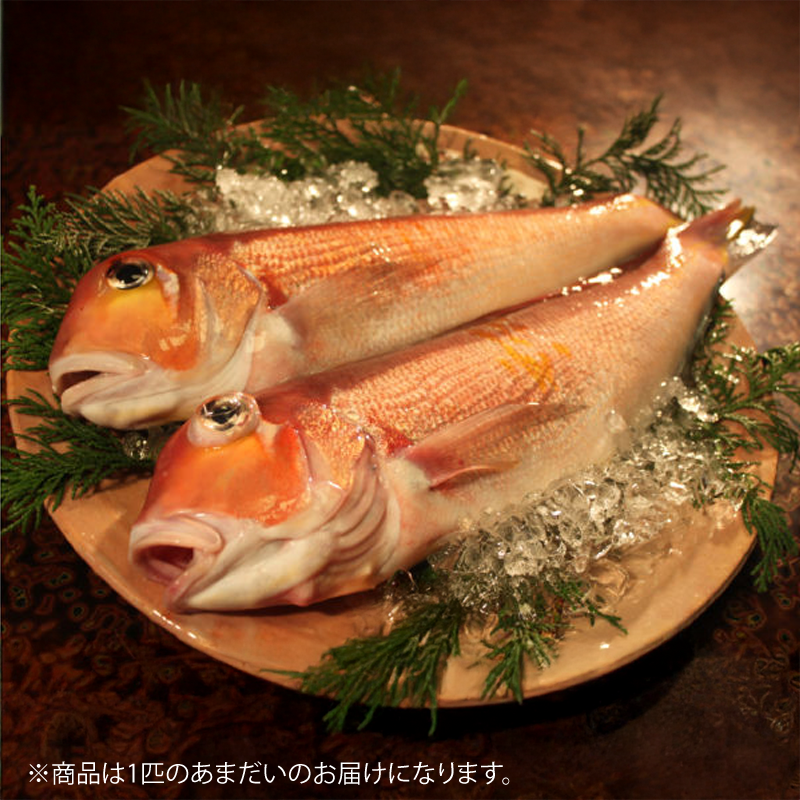 【メーカー・産地直送】萩あまだいの味噌漬け 1本