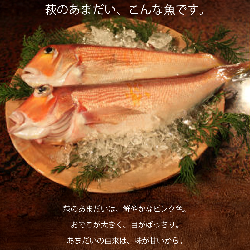 【メーカー・産地直送】萩あまだいの味噌漬け 1本